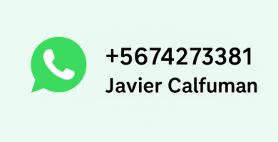 Imagen de contacto WhatsApp con número +56974273381 de Javier Calfuman