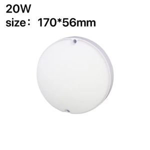 20w