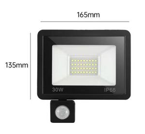 30W luz blanca 220V
