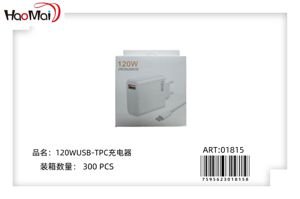 CARGADOR 120w