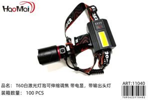 Linterna T60