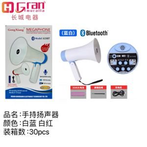 MEGAPHONE