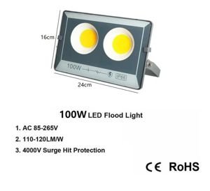 Proyector LED 100W luz blanca 220V